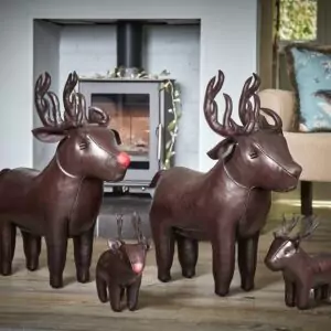 Reindeer