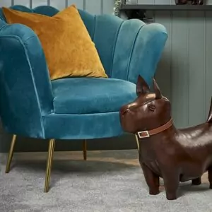 Terrier