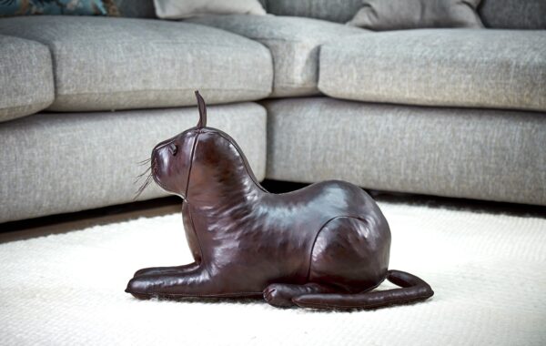 Cat - Image 4