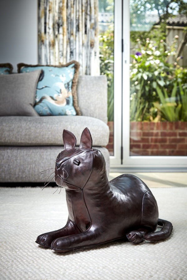 Cat - Image 2