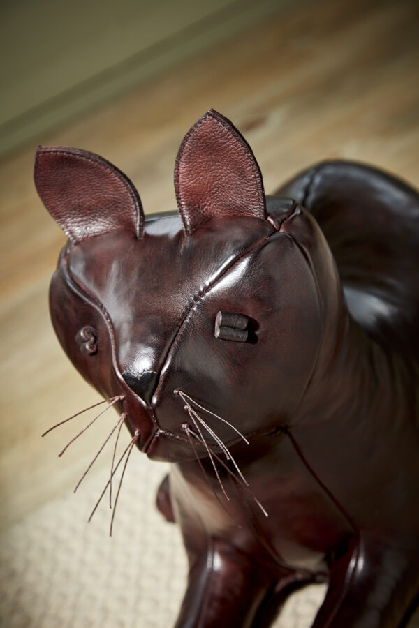 Cat - Image 3