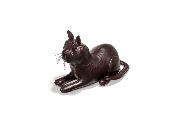 Cat - Image 6